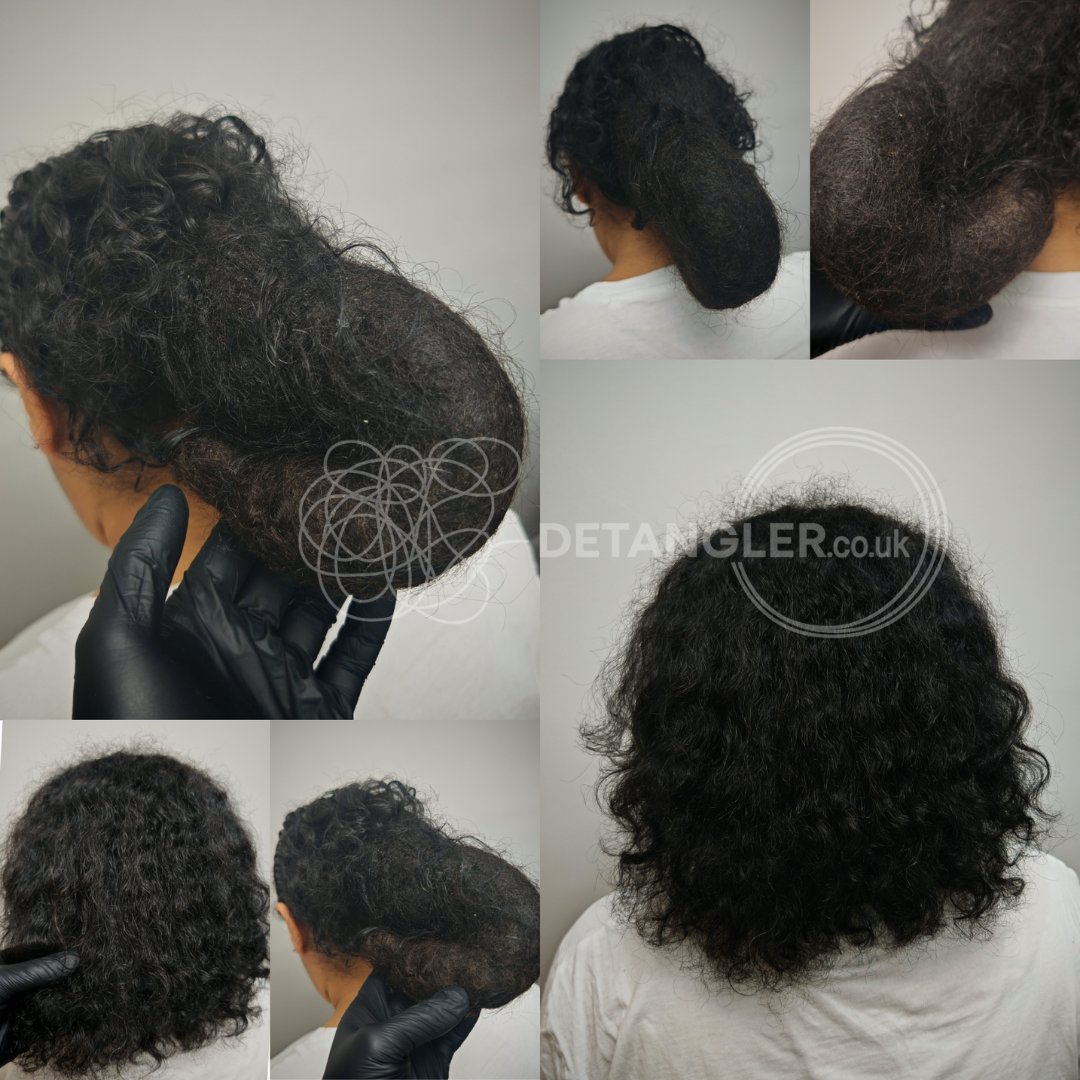 Professional matted hair detangling transformation by VTCT Level 3 specialist — documented case 42