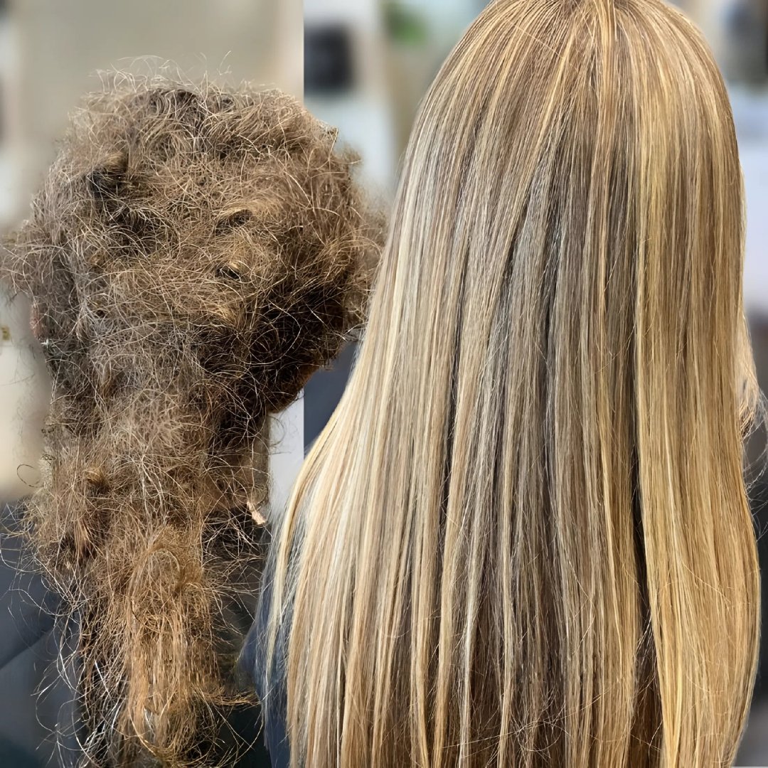 VTCT certified matted hair specialist London transformation result — documented case 51