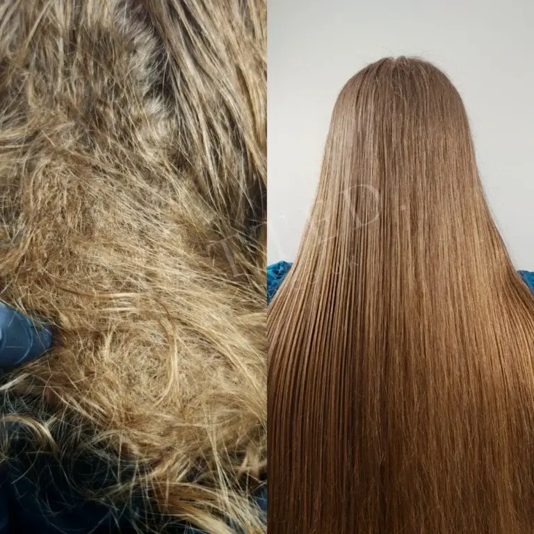 Severely matted straight hair, opened section by section over one appointment